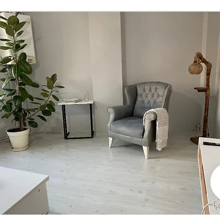 Merkezi Sehir Evi *